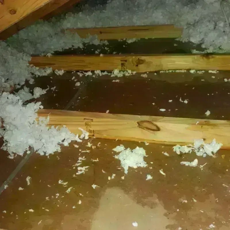 Attic Water Damage in Dundee, FL