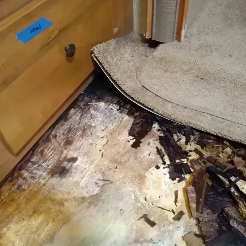 Wood Floor Water Damage in Dundee, FL